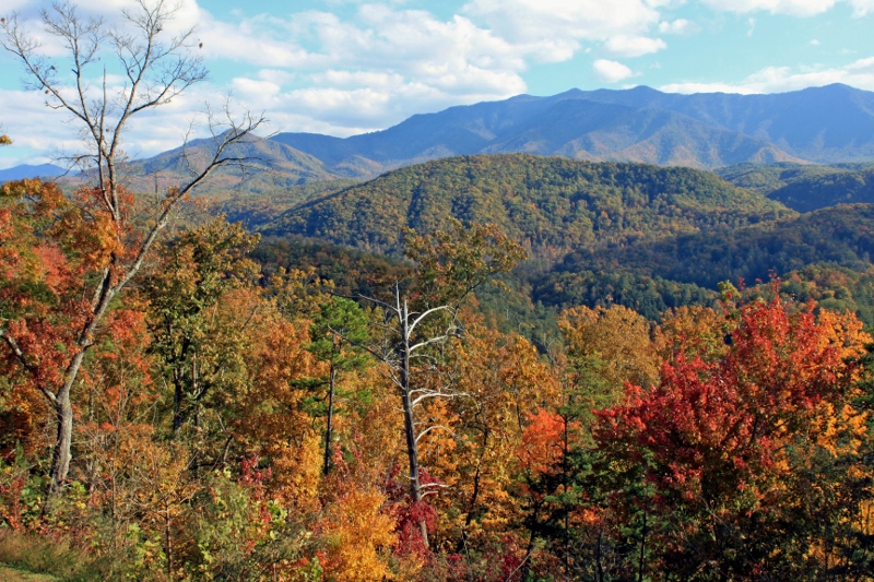 Loading Resort Image...